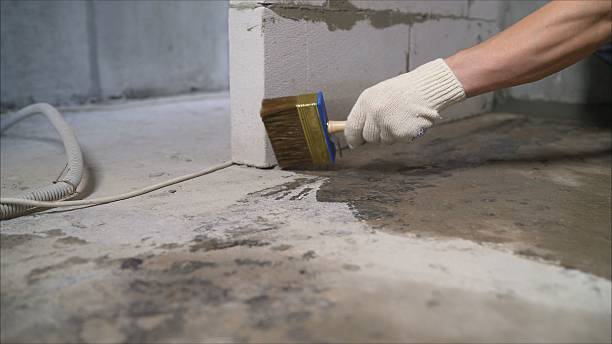 SJ Waterproofing Pros Waterproofing coverage map for Millwood, VA and surrounding area
